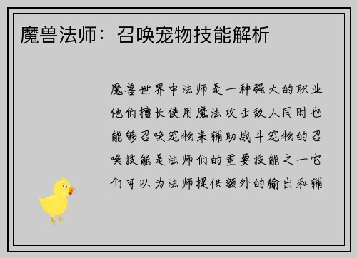 魔兽法师：召唤宠物技能解析